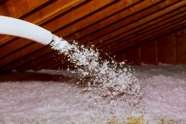 Best Energy Efficiency Solutions in Woods Creek, WA
