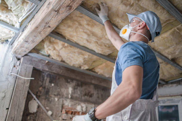 Best Insulation Installation Services in Woods Creek, WA